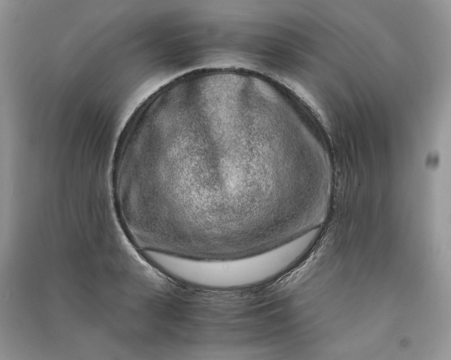 X0000090900943200708131349