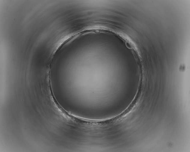 X0000090900945200708131349