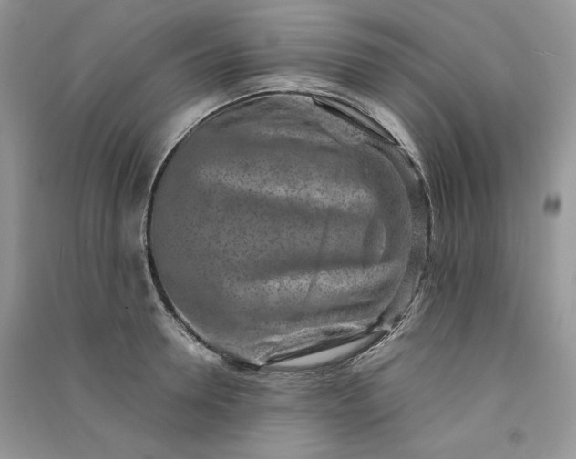 X0000090900946200708131349