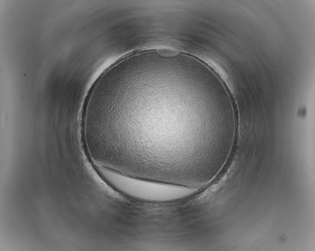 X0000090900949200708131349