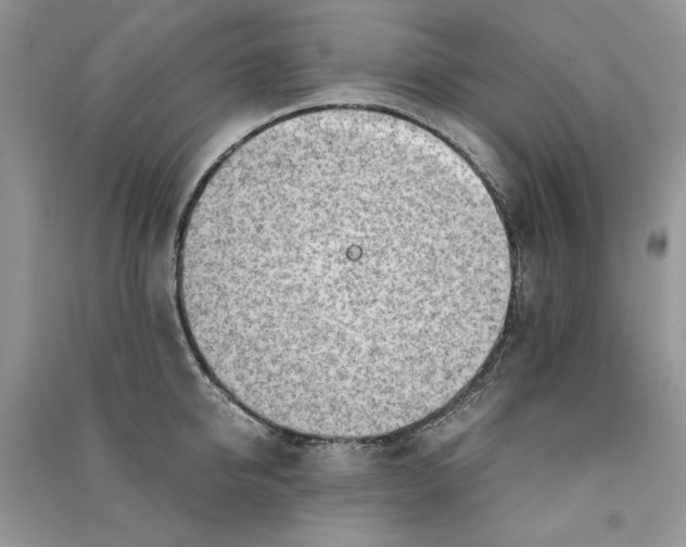X0000090900950200708131349