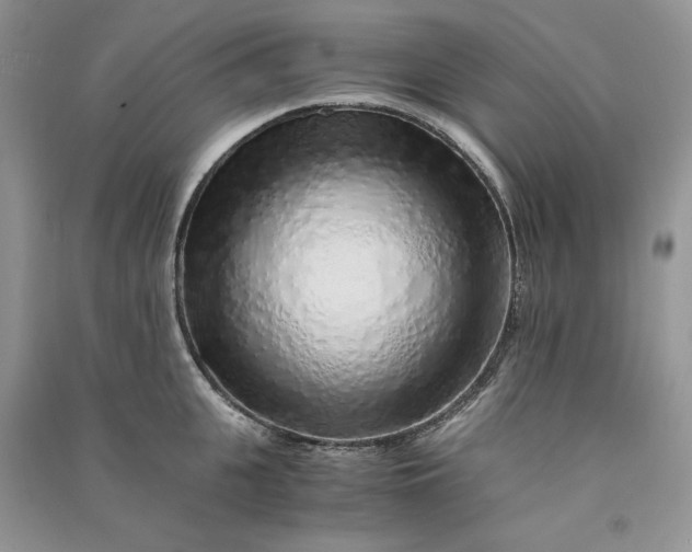 X0000090900951200708131349