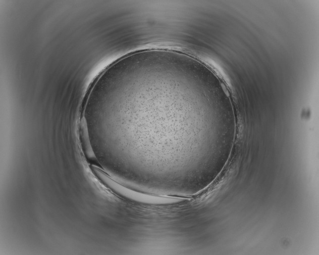 X0000090900952200708131349