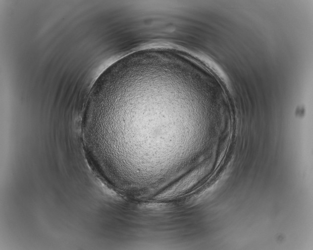X0000090900953200708131349