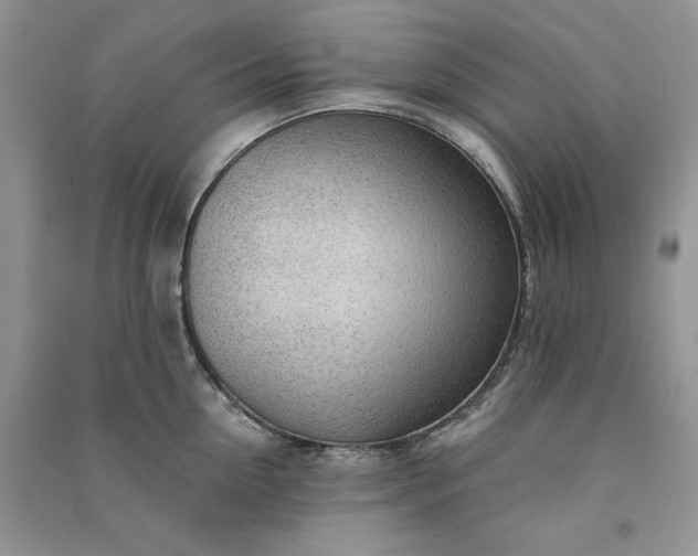 X0000090900954200708131349