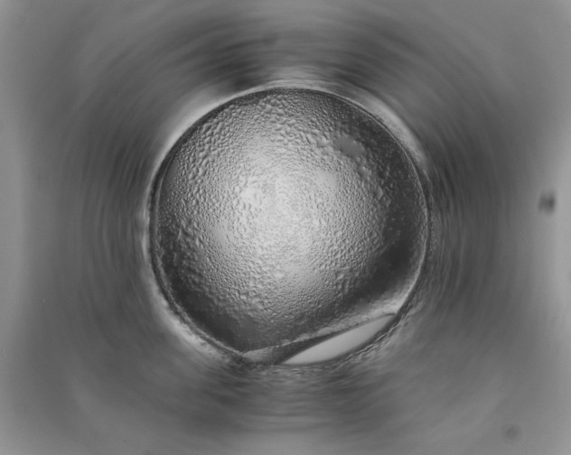 X0000090900955200708131349