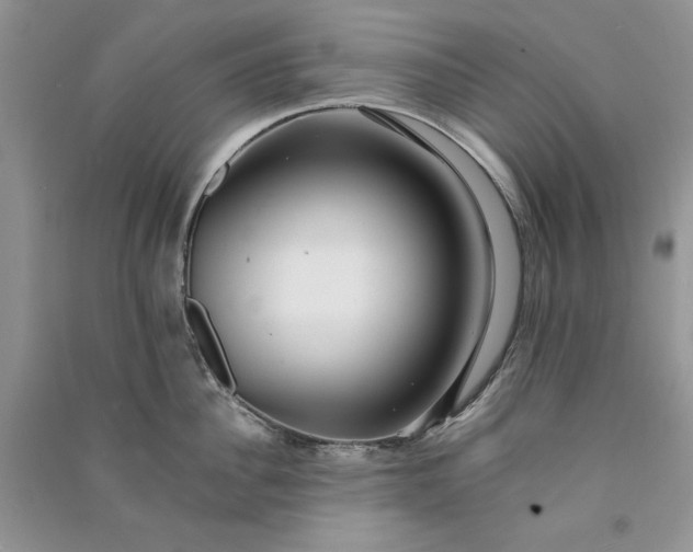 X0000090900956200708131349