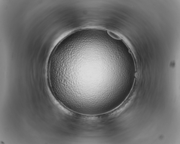 X0000090900957200708131349