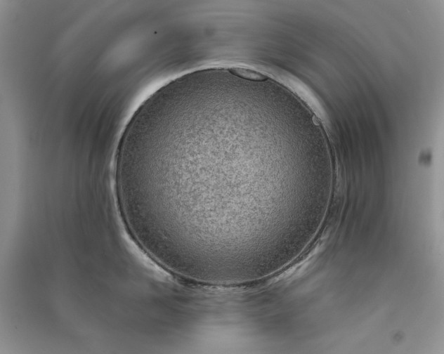 X0000090900958200708131349