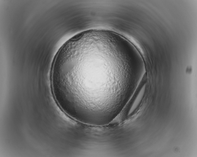 X0000090900959200708131349