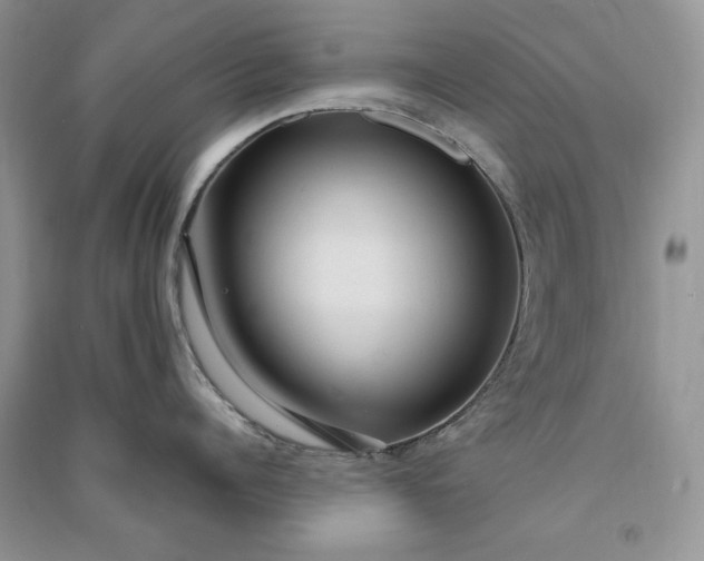 X0000090900960200708131350