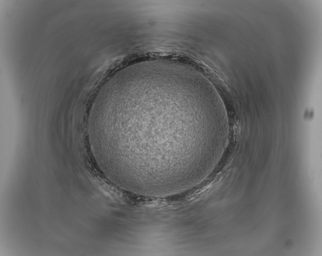 X0000090900961200708131349