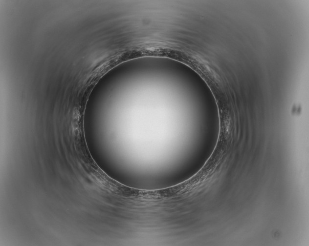 X0000090900964200708131349