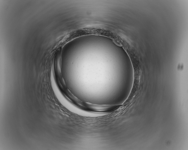 X0000090900965200708131349