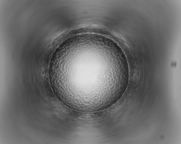 X0000090900966200708131349