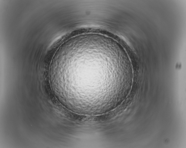 X0000090900967200708131349