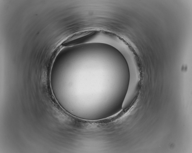 X0000090900969200708131349