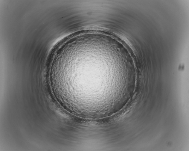 X0000090900971200708131349