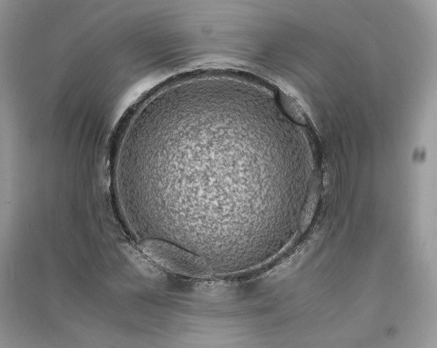 X0000090900973200708131349
