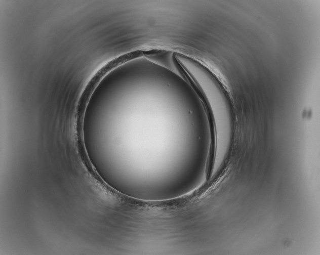 X0000090900976200708131349