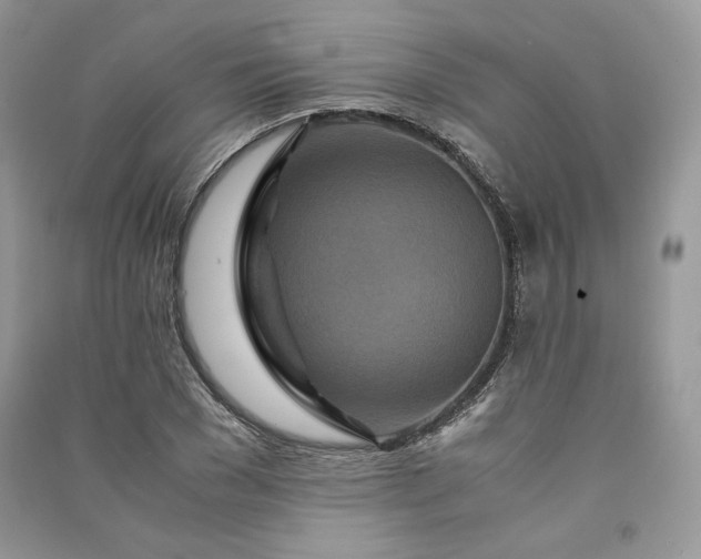 X0000090900977200708131349
