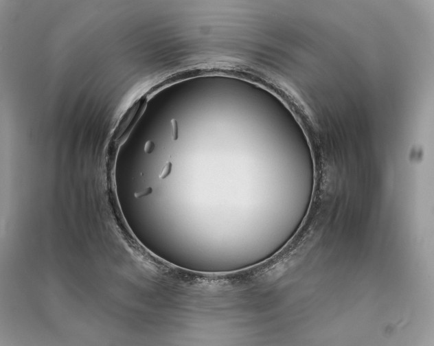 X0000090900978200708131349