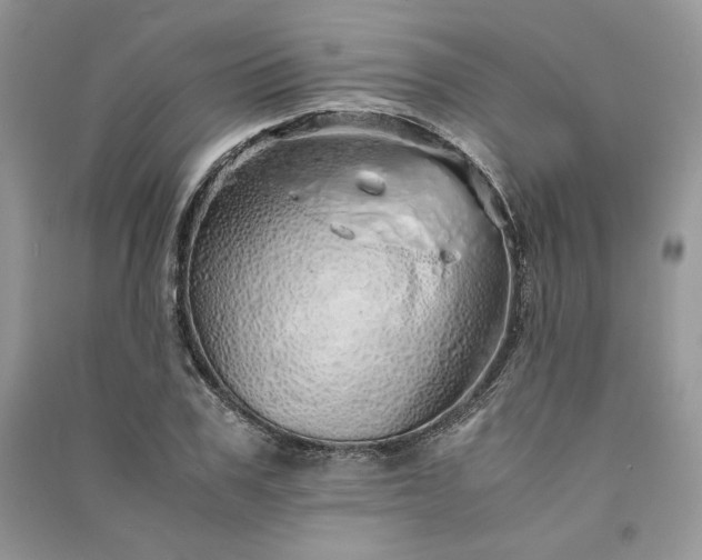 X0000090900979200708131349