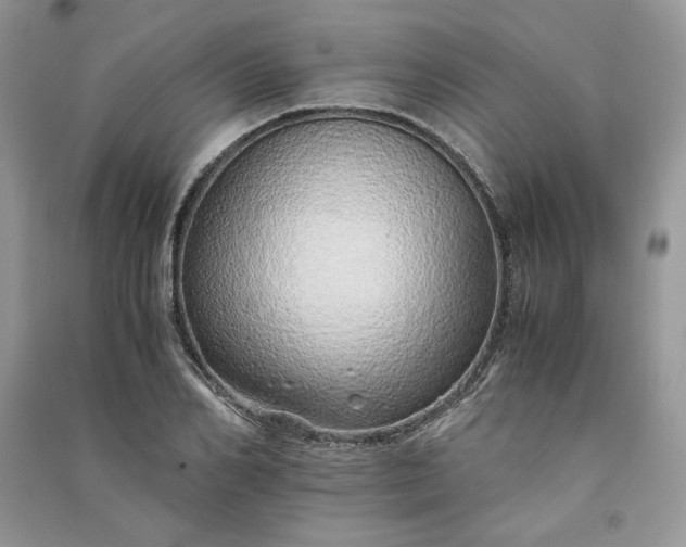 X0000090900982200708131349
