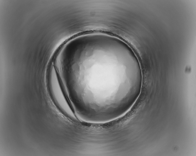 X0000090900983200708131349