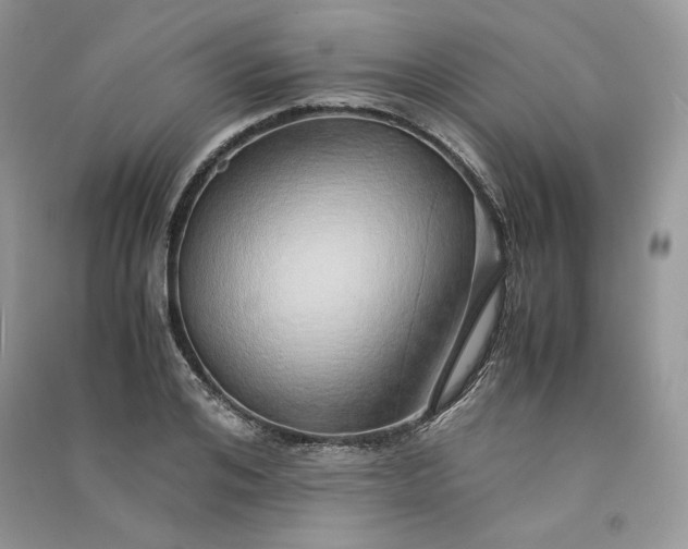 X0000090900984200708131349