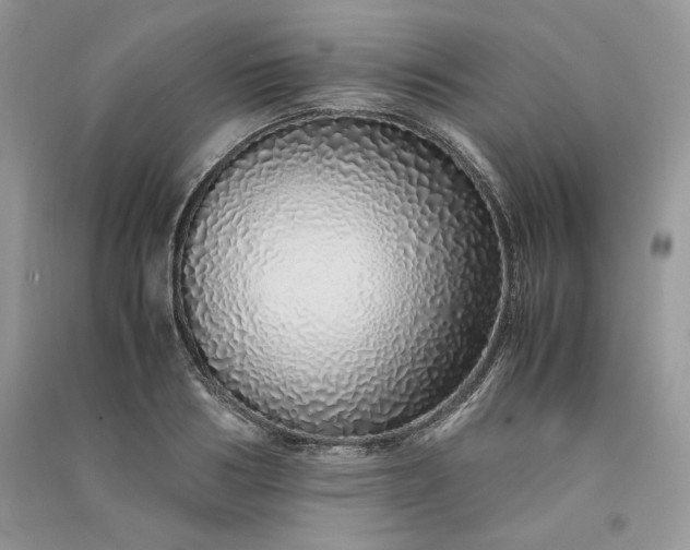 X0000090900986200708131349
