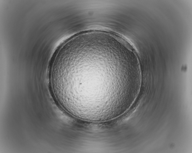 X0000090900987200708131349