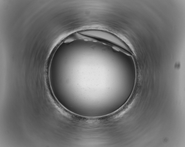 X0000090900989200708131349