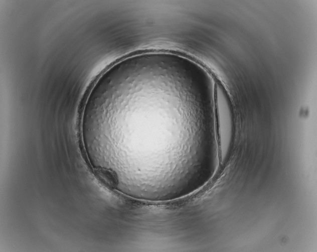 X0000090900990200708131349