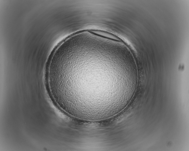 X0000090900991200708131349