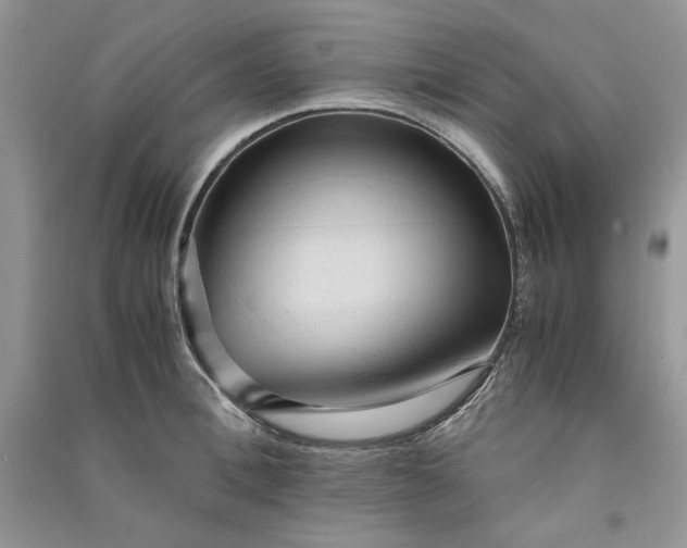 X0000090900996200708131348