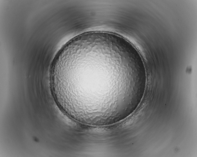 X0000090900998200708131348