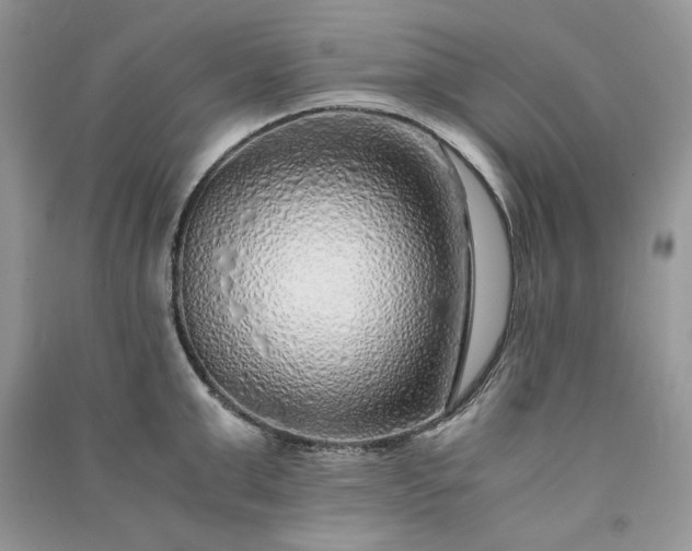 X0000090900999200708131348