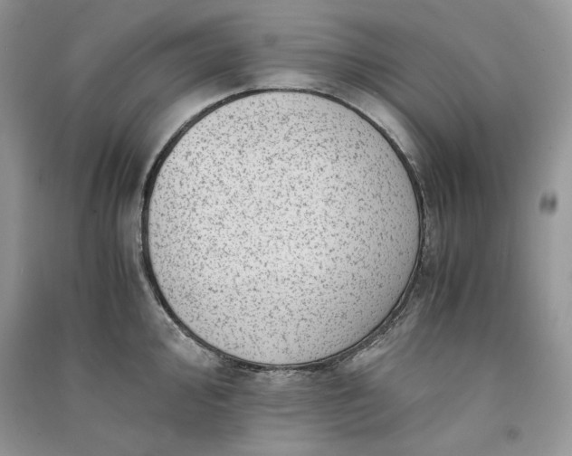 X0000090901000200708131348