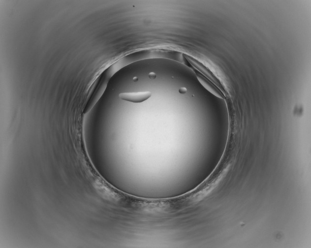 X0000090901001200708131348