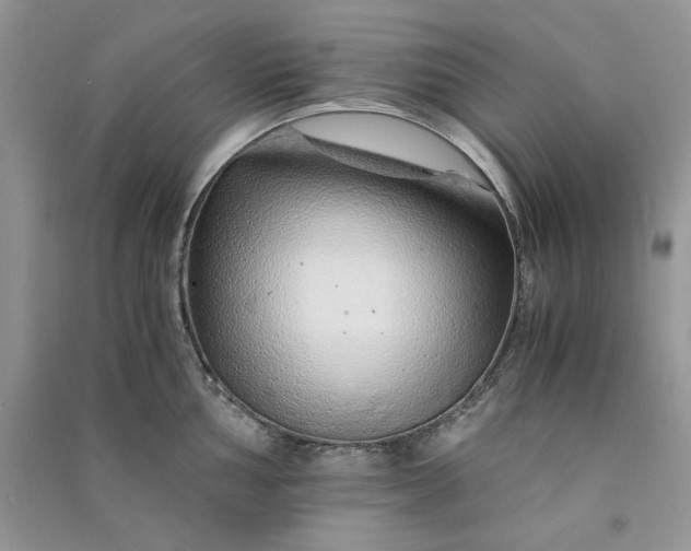 X0000090901002200708131348