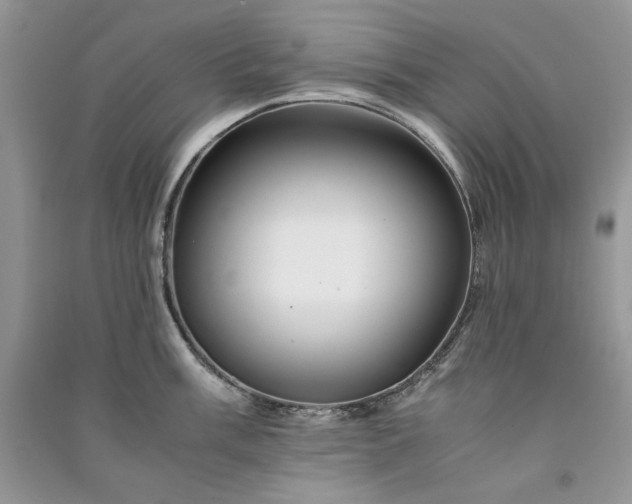 X0000090901003200708131348