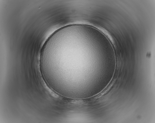 X0000090901006200708131348