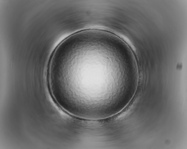 X0000090901007200708131348
