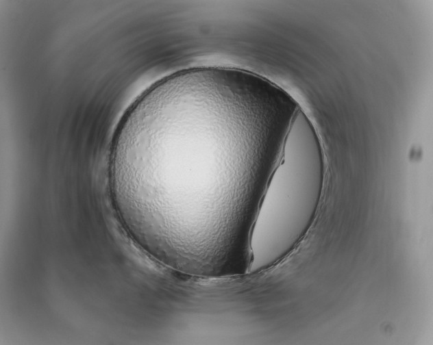 X0000090901008200708131348