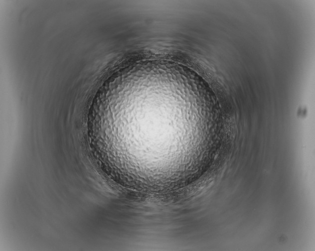 X0000090901009200708131348