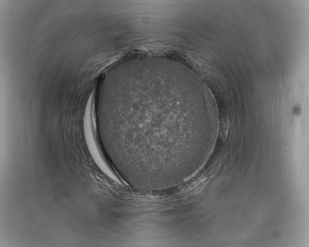 X0000090901010200708131348