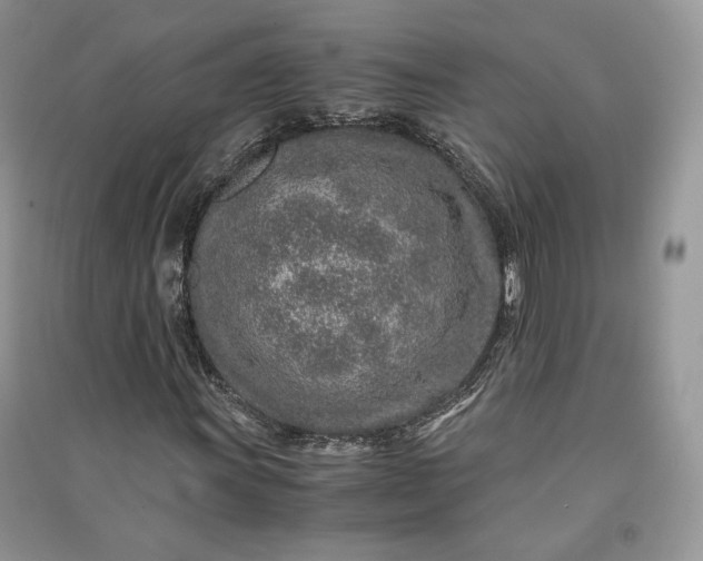 X0000090901011200708131348