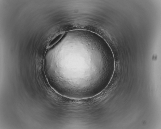 X0000090901012200708131348