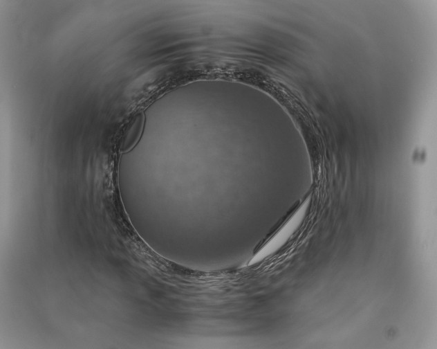 X0000090901013200708131348